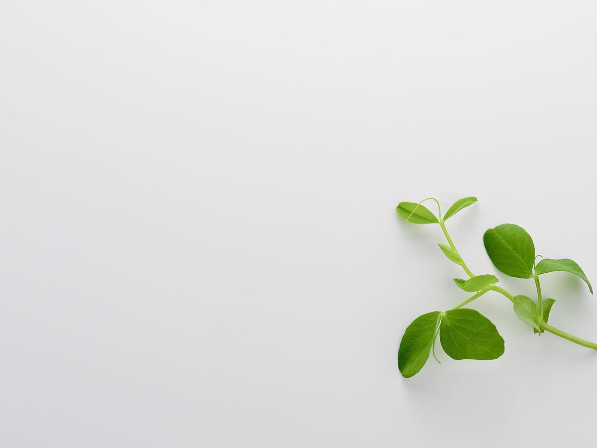 Green Leaves Slide Backgrounds - Flourish Word - HD Wallpaper 
