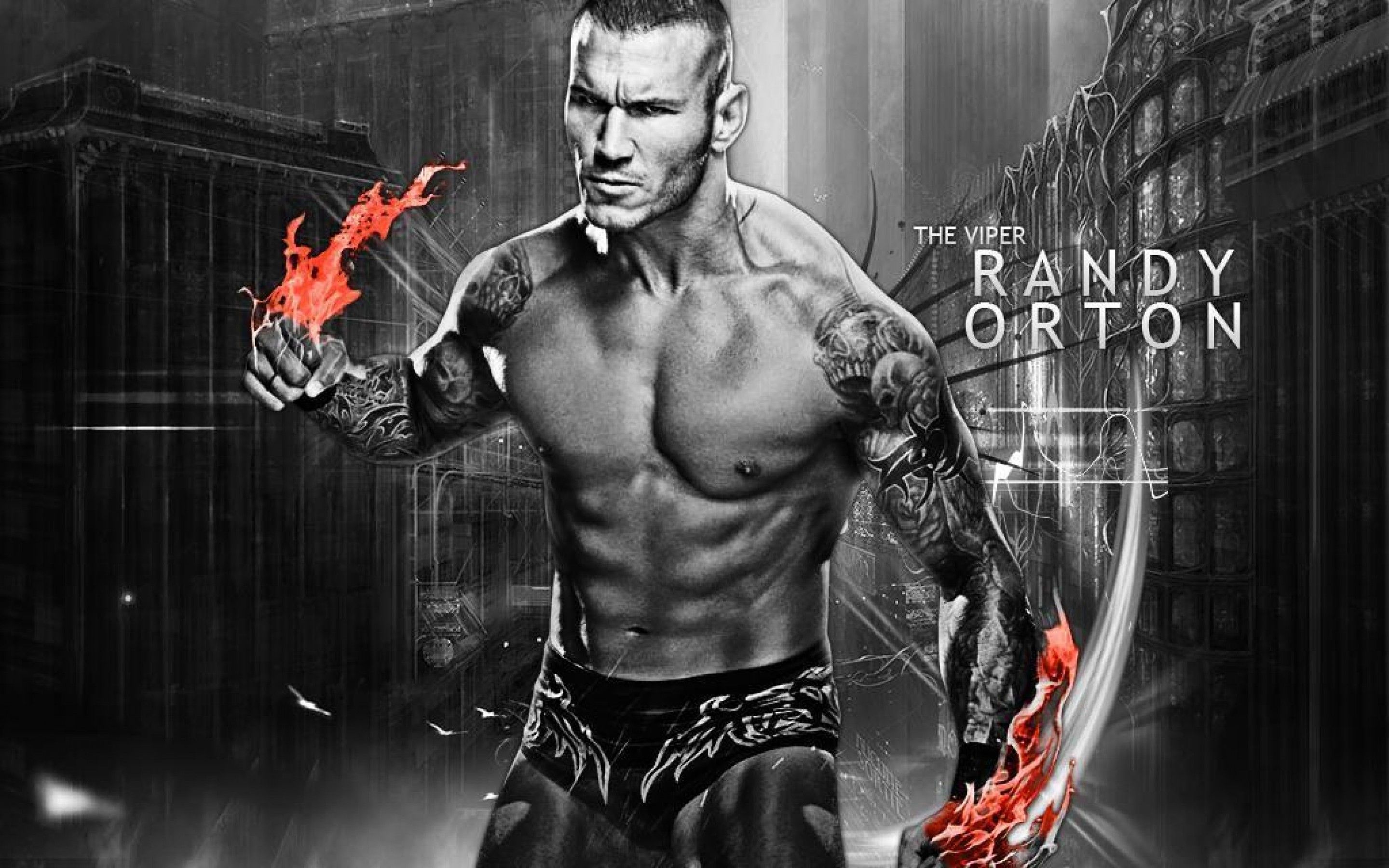 Randy Orton Wallpaper Hd - HD Wallpaper 
