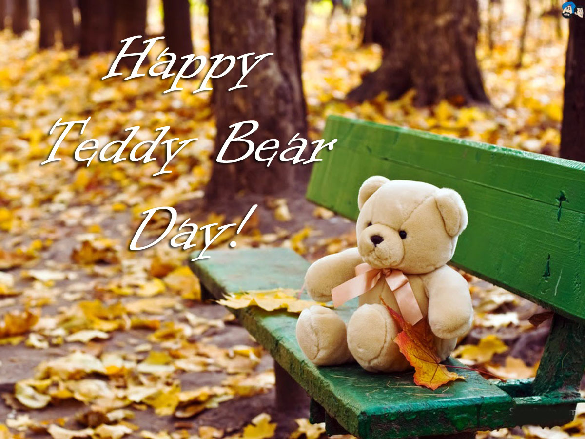 Smart Looking Teddy Bear Wallpapers Life Quotes - HD Wallpaper 