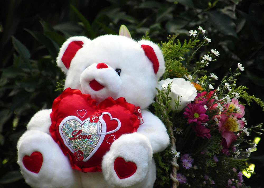 Hd Cute Teddy Bear Wallpapers Love Download - Hd Wallpaper Cute Teddy Bear - 1000x711 Wallpaper Hd Cute Teddy Bear Wallpapers Love Download - Hd Wallpaper Cute Teddy Bear - 1000x711 Wallpaper