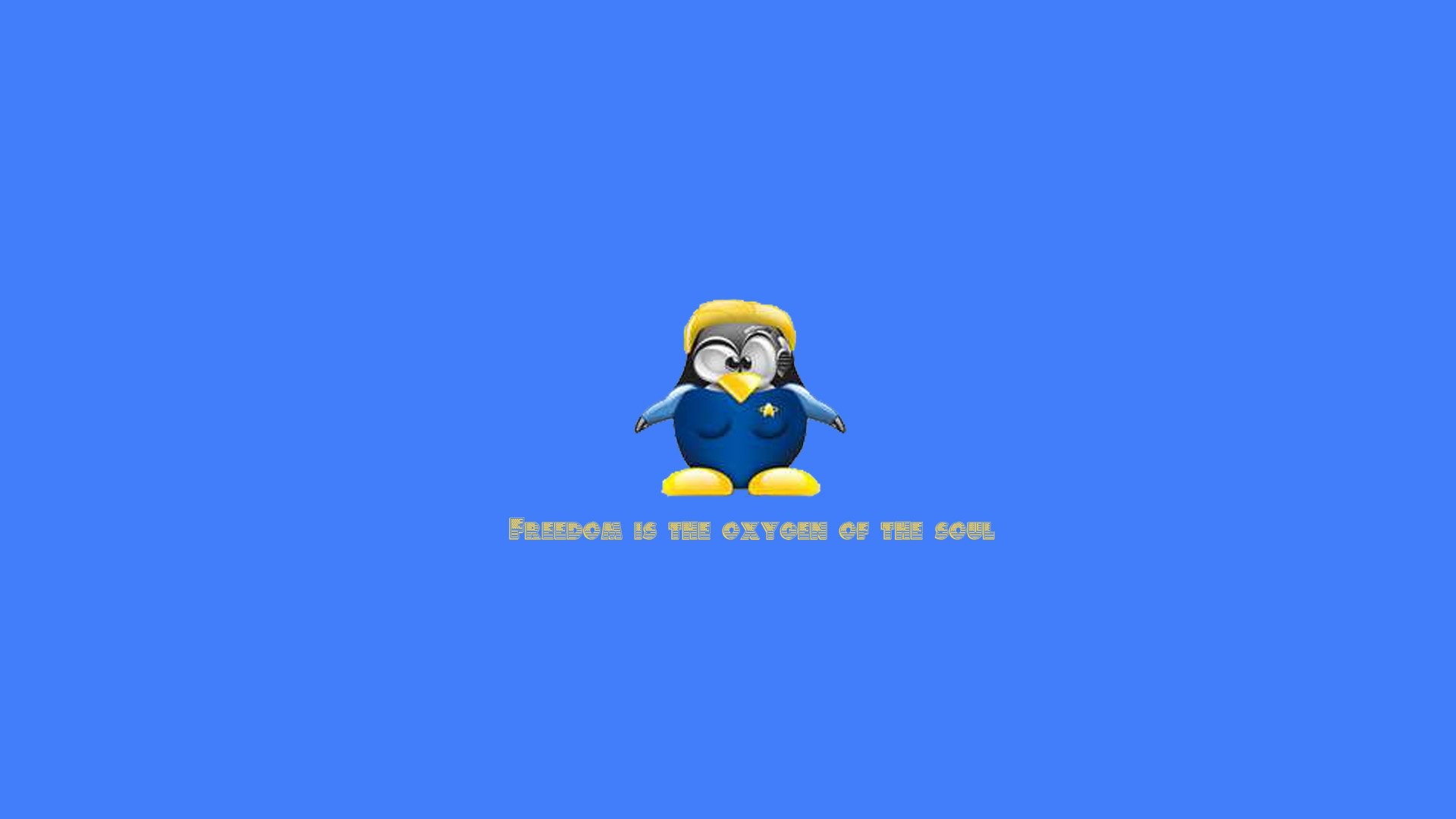 Wallpapers Kali Linux Free Hdw Eweb Out X Kali 
 Data-src - Army Penguin - HD Wallpaper 