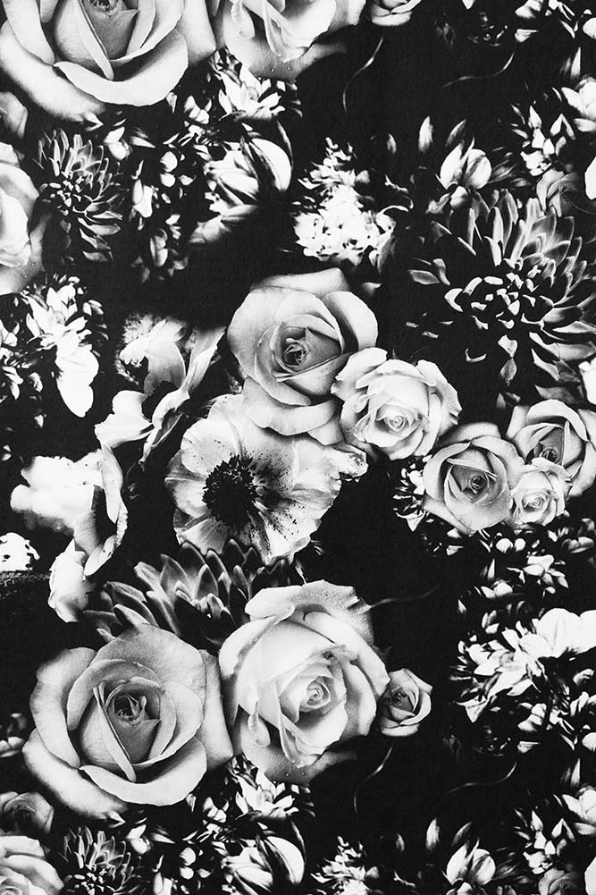 Grey And Blush Floral - HD Wallpaper 