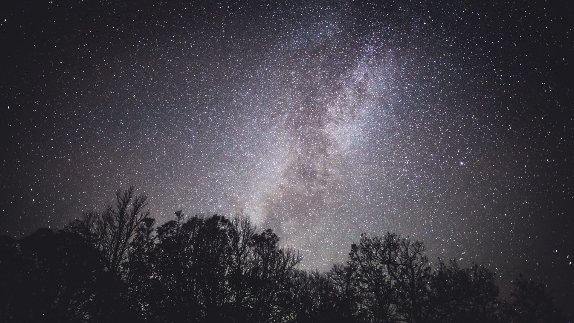 Trees In Starry Night Milky Way - Curiosidade Sobre A Astronomia - HD Wallpaper 