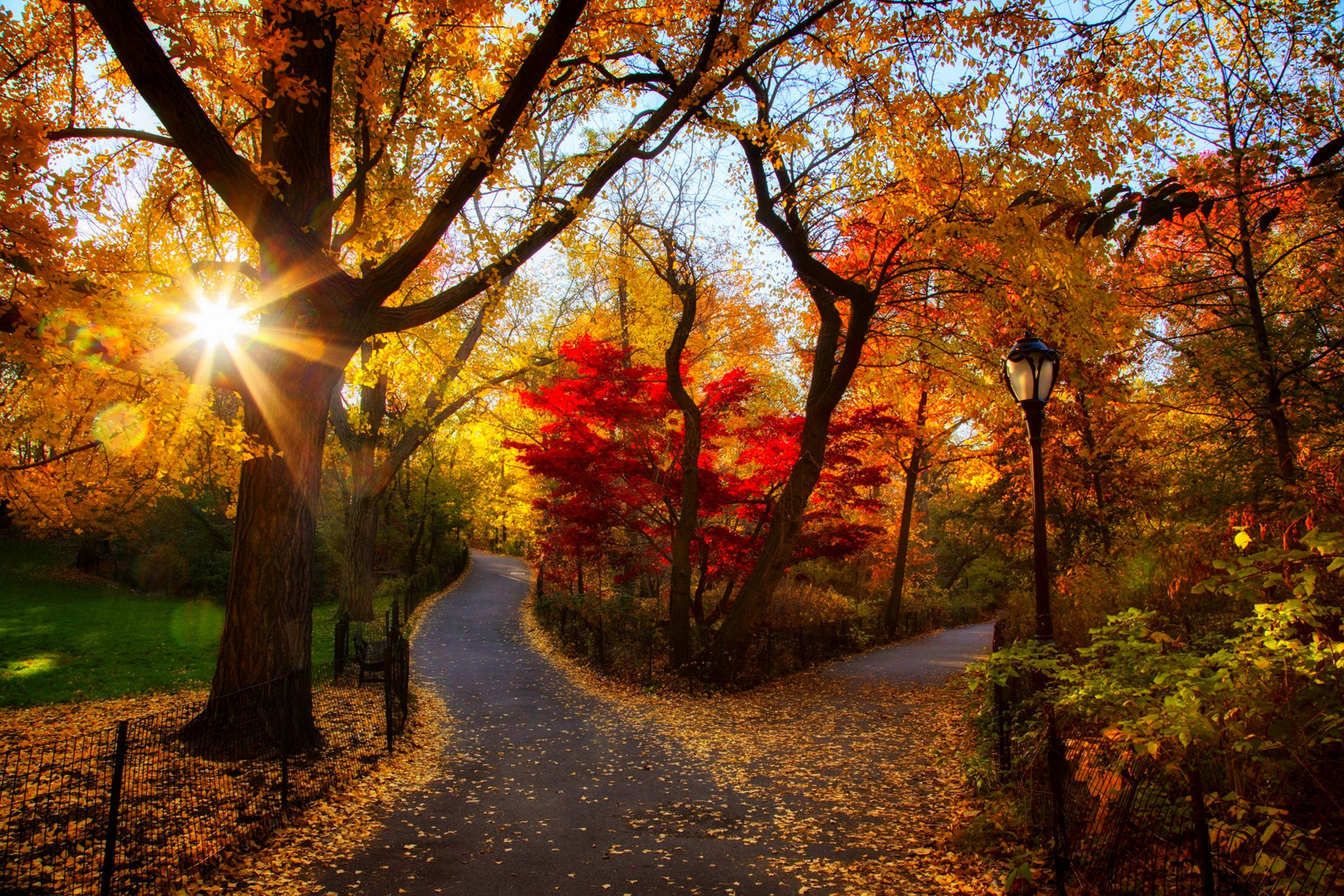 Sun Setting In Fall - HD Wallpaper 