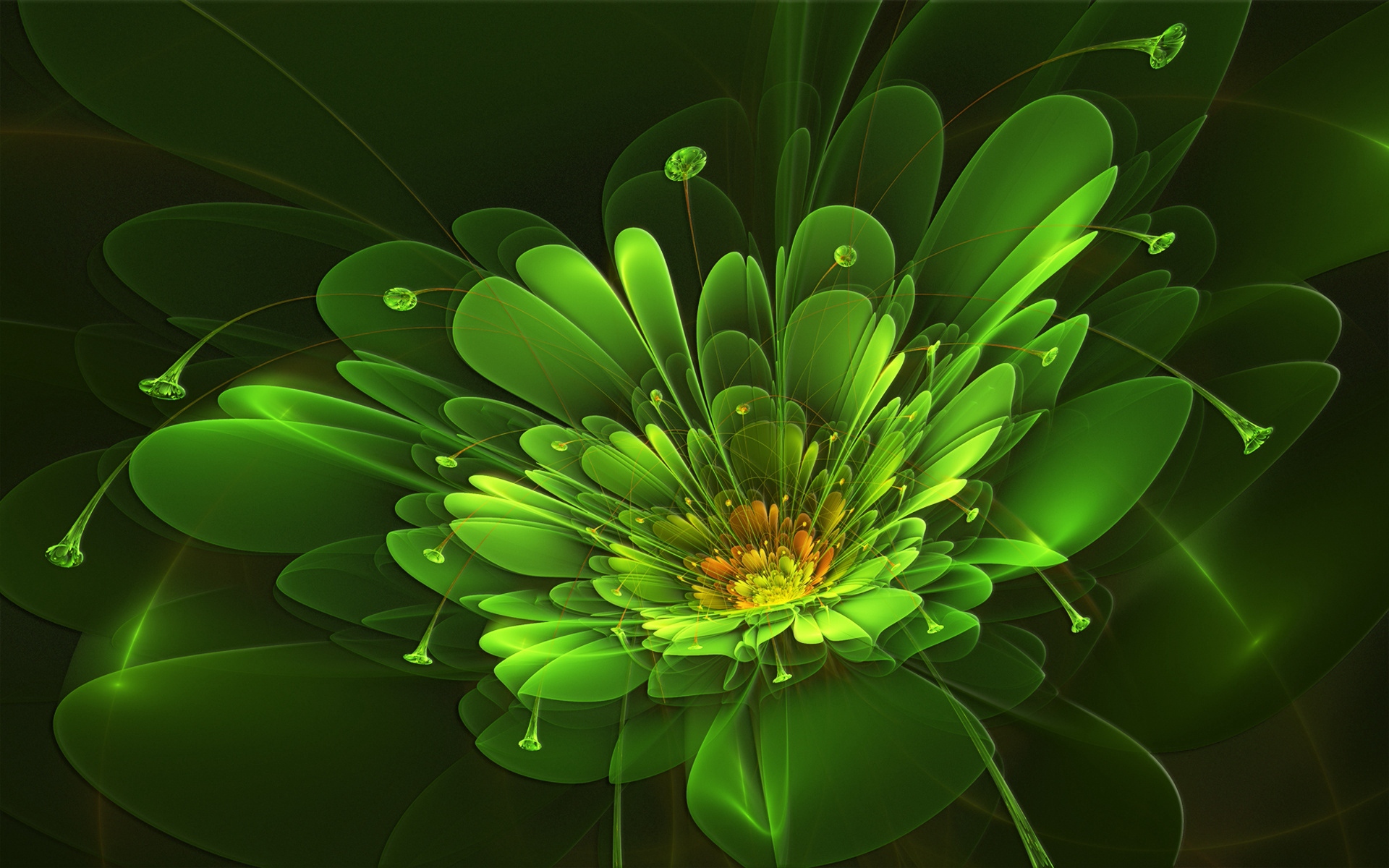 Wallpaper Green, Flower, Background, Colorful, Light - Greenflower - HD Wallpaper 
