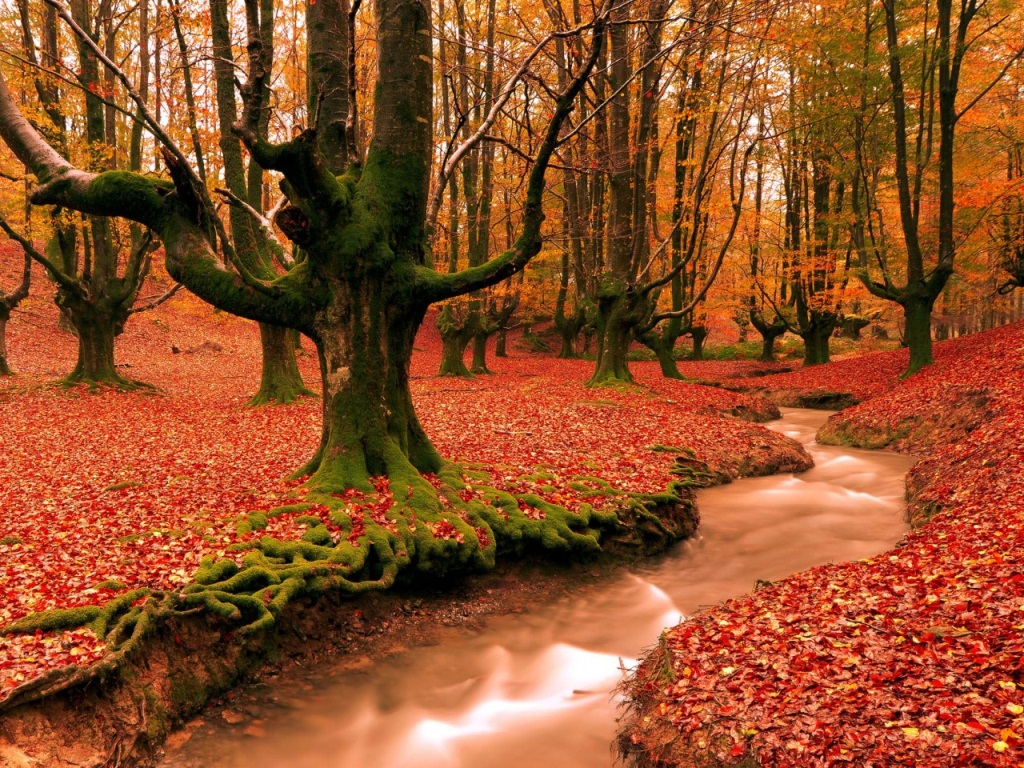 Nature Wallpaper Zip File - Gorbea Natural Park Spain - HD Wallpaper 