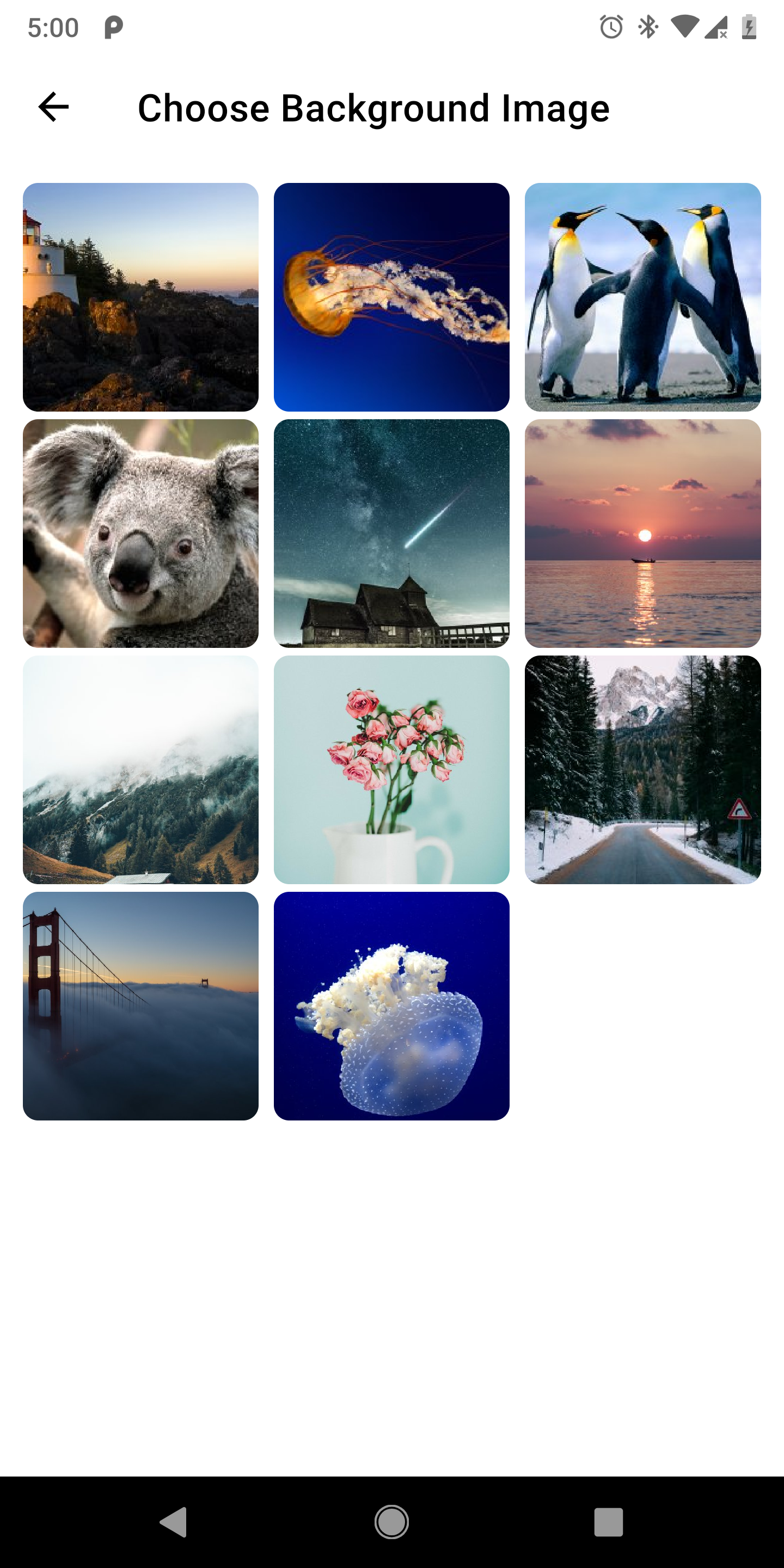 Collage - HD Wallpaper 