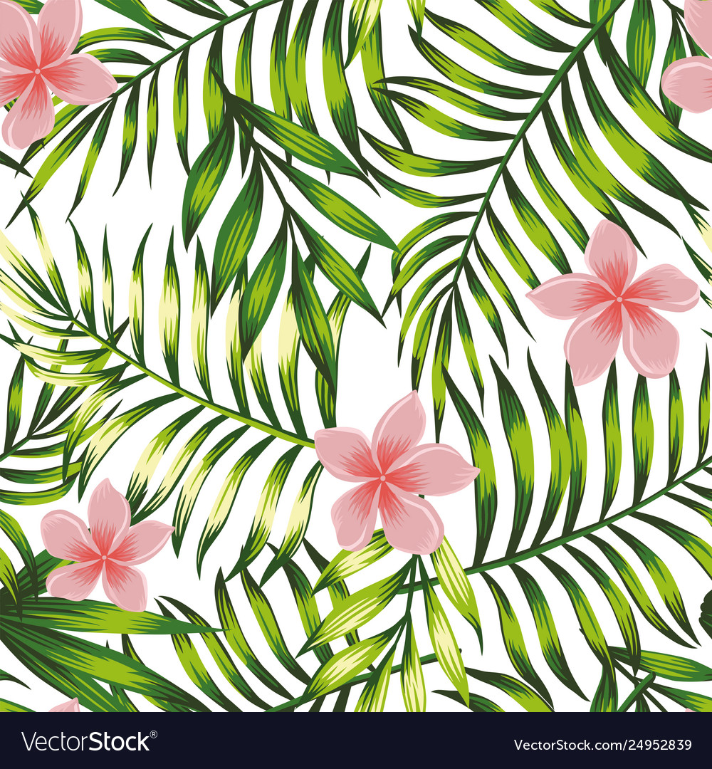 Tropical Leaves - HD Wallpaper 