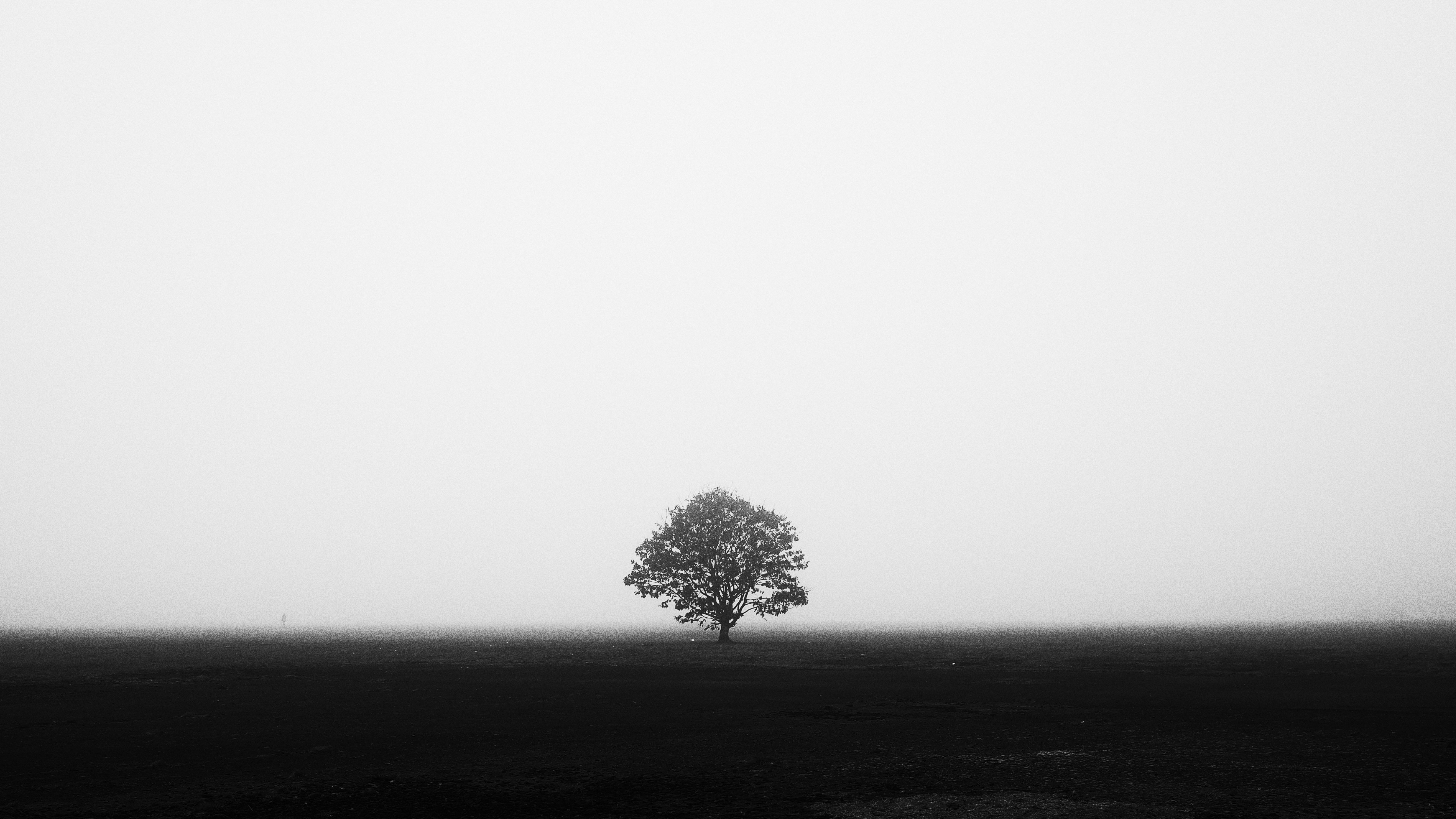 Monochrome - HD Wallpaper 