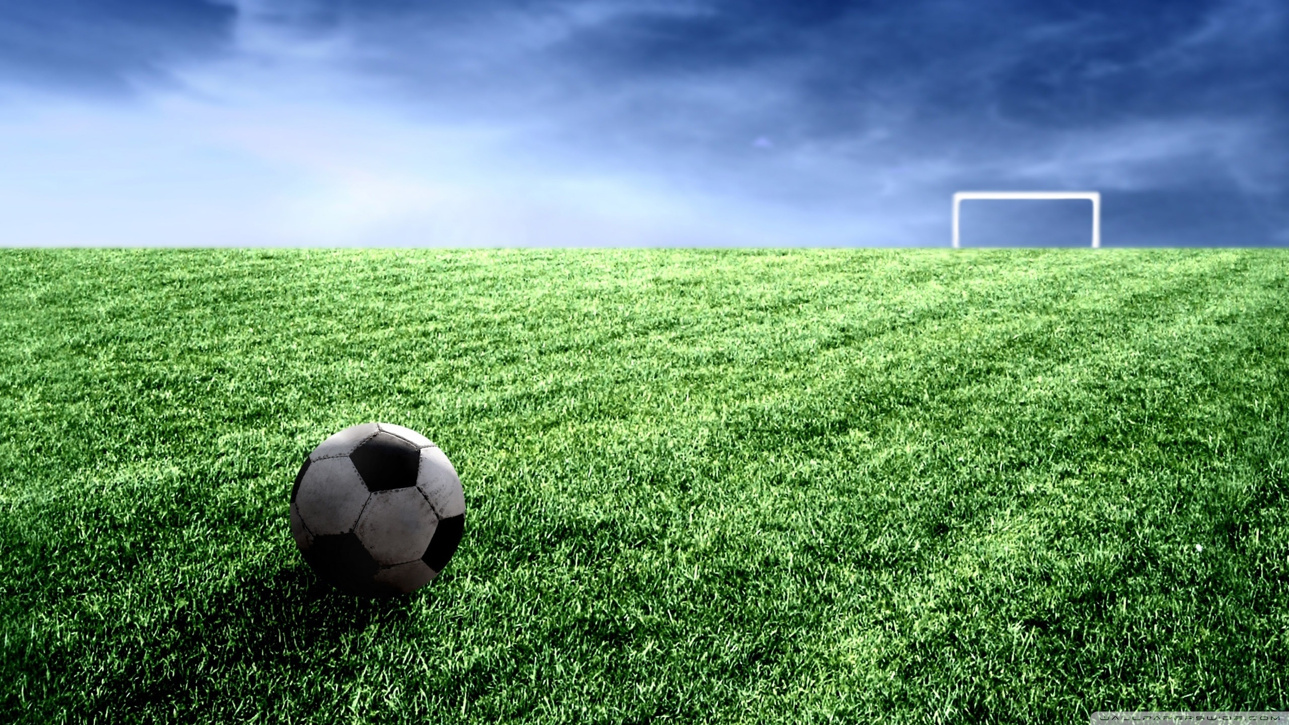Soccer Field Hd - HD Wallpaper 