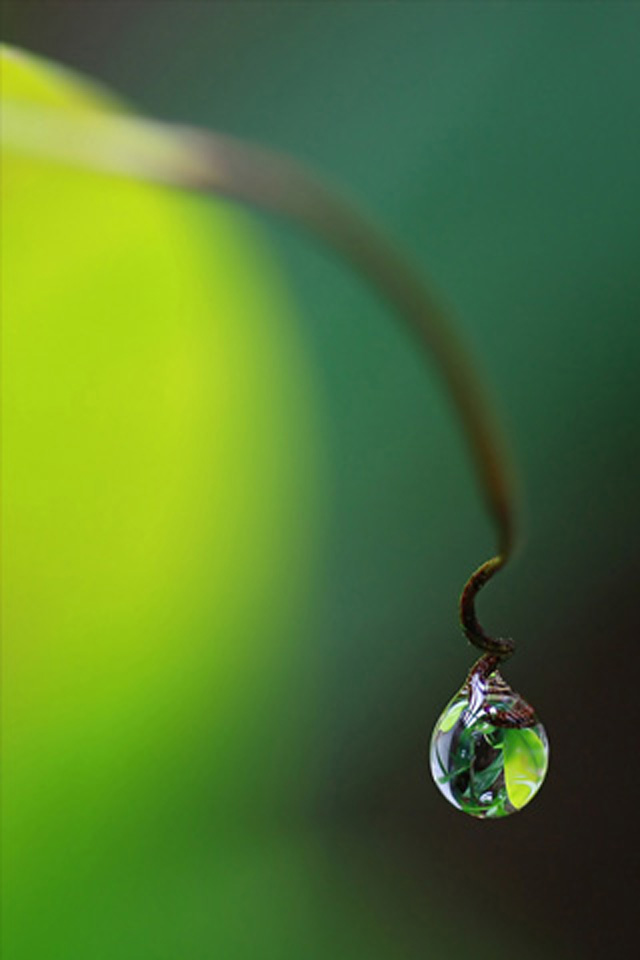 Drop Reflection Ipod Touch Wallpaper - Single Rain Drops Hd - HD Wallpaper 