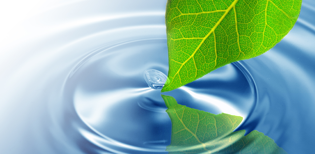 Blue Green Water With Leaf - HD Wallpaper 