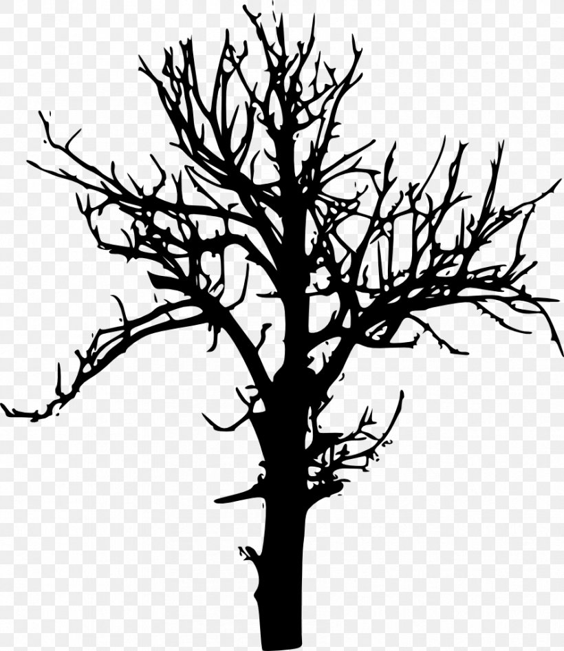 Tree Branch Desktop Wallpaper Drawing, Png, 887x1024px, - Tree Silhouette No Background - HD Wallpaper 