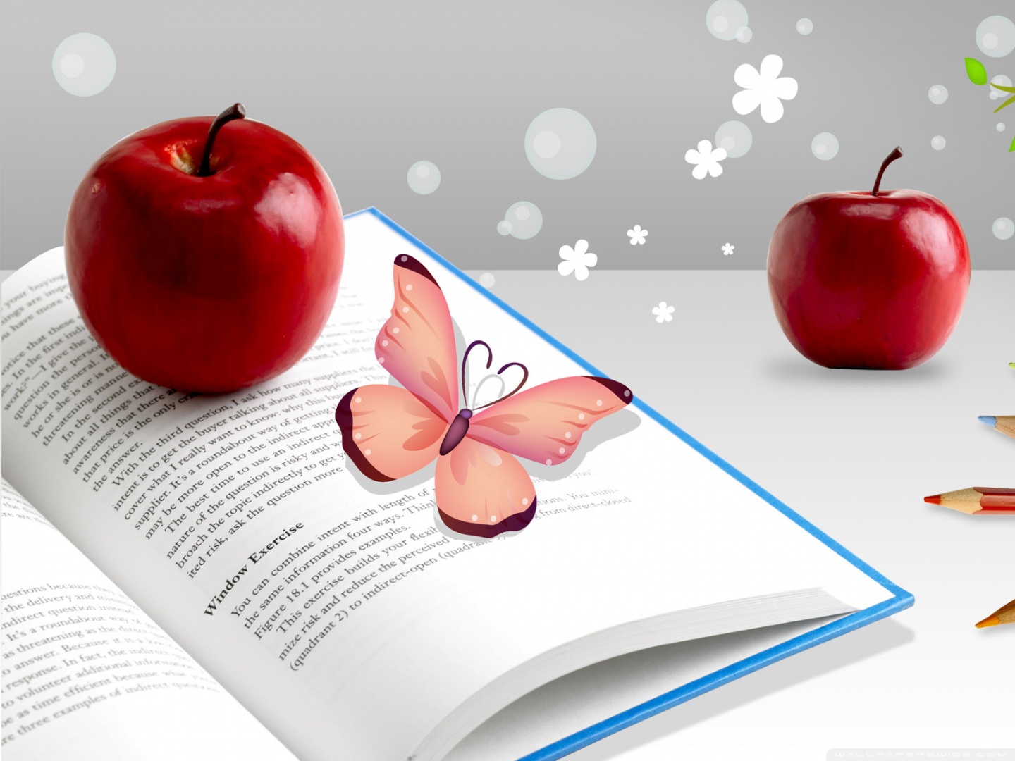 Red Apples Wallpaper Hd - HD Wallpaper 