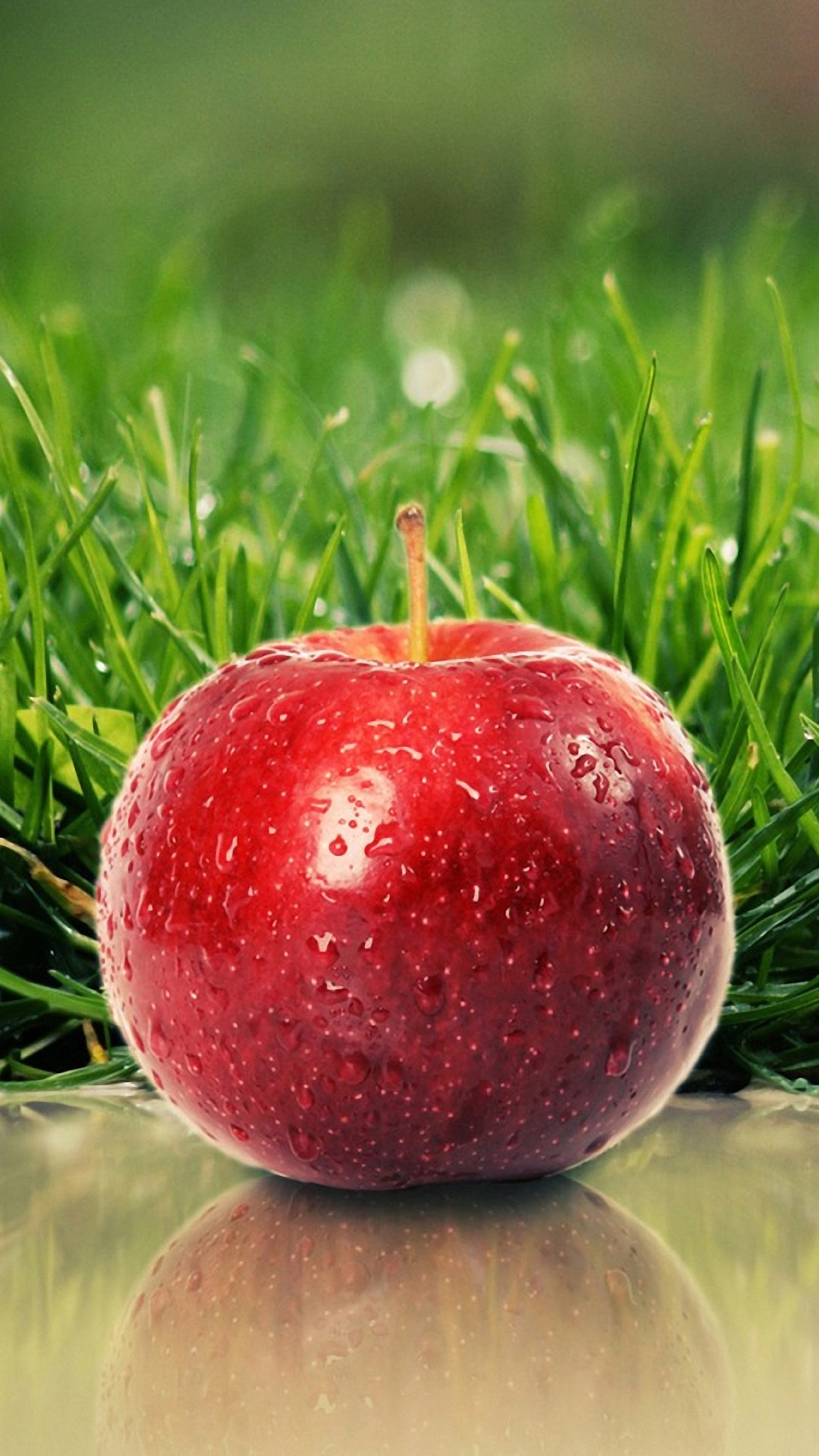 Hd Red Apple Htc One M9/x9 Wallpapers - Apple Fruit - 1440x2560 Wallpaper -  