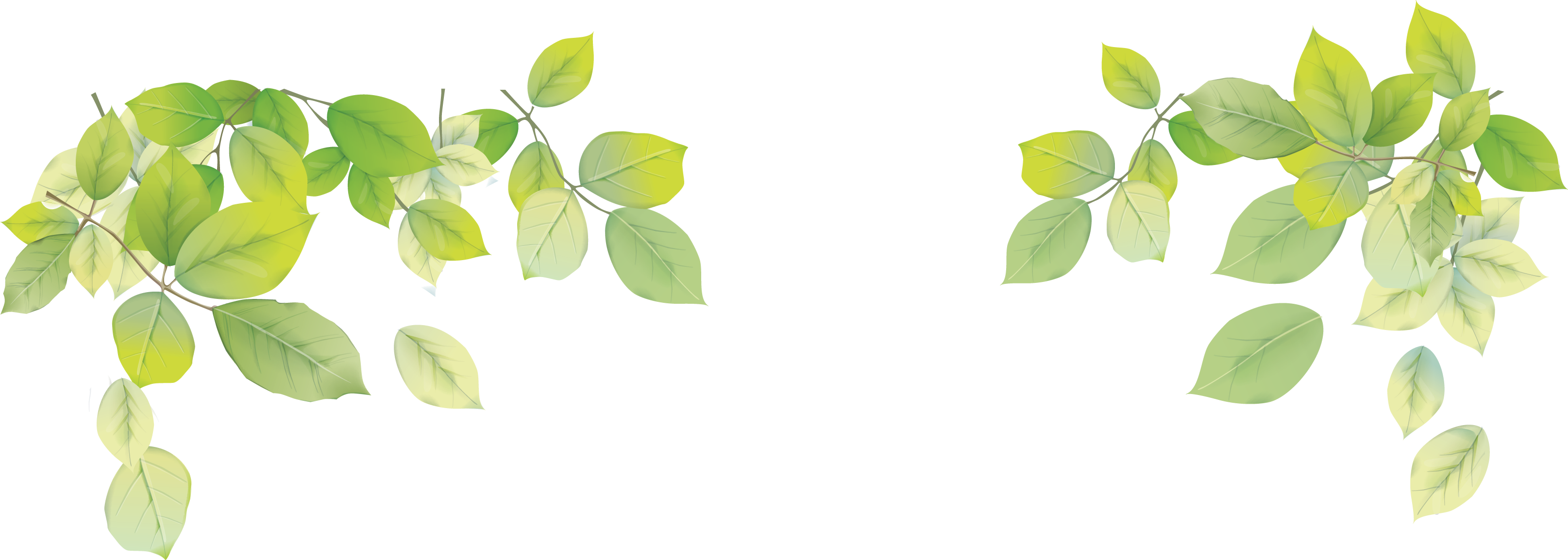 Laptop Leaf Desktop Wallpaper - Leaf Png Transparent Background - HD Wallpaper 