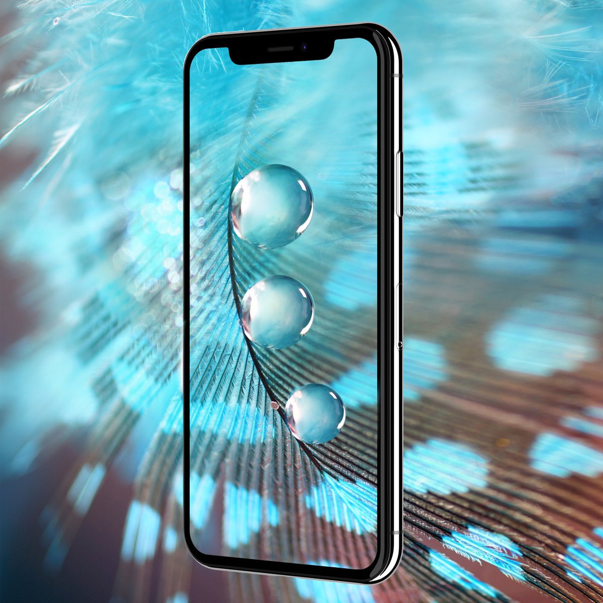 Wallpaper - HD Wallpaper 