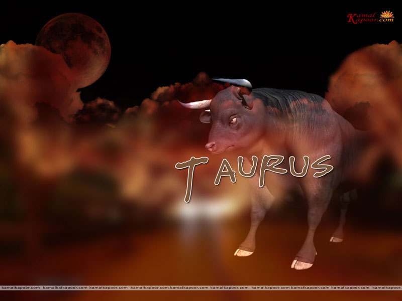 Taurus - HD Wallpaper 