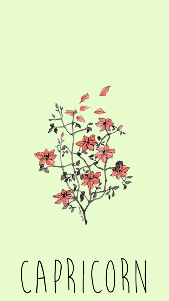 Flower Draw Tumblr Png - HD Wallpaper 