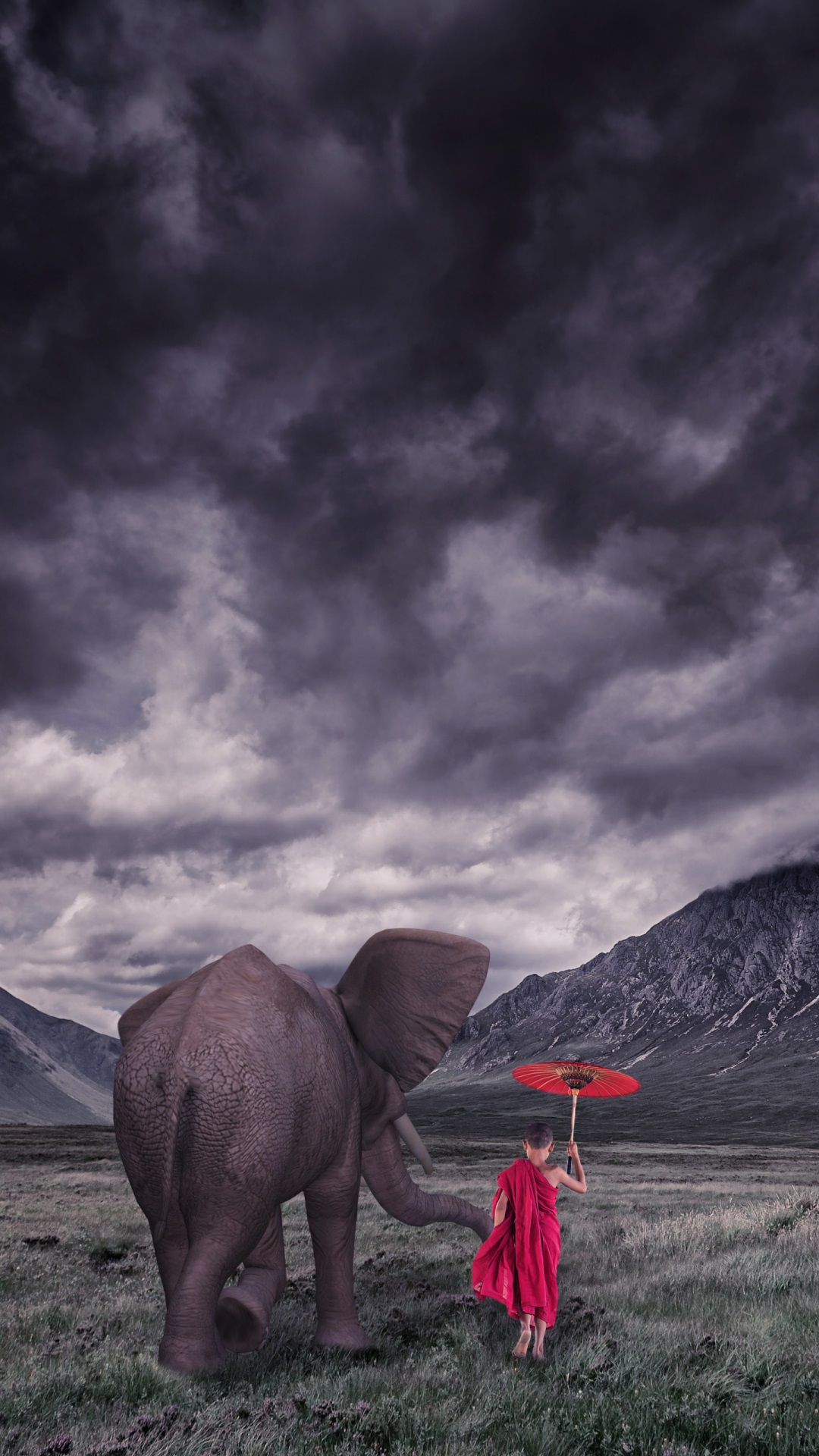 Elephant Wallpaper For Mobile 1080x1920 Wallpaper teahub.io