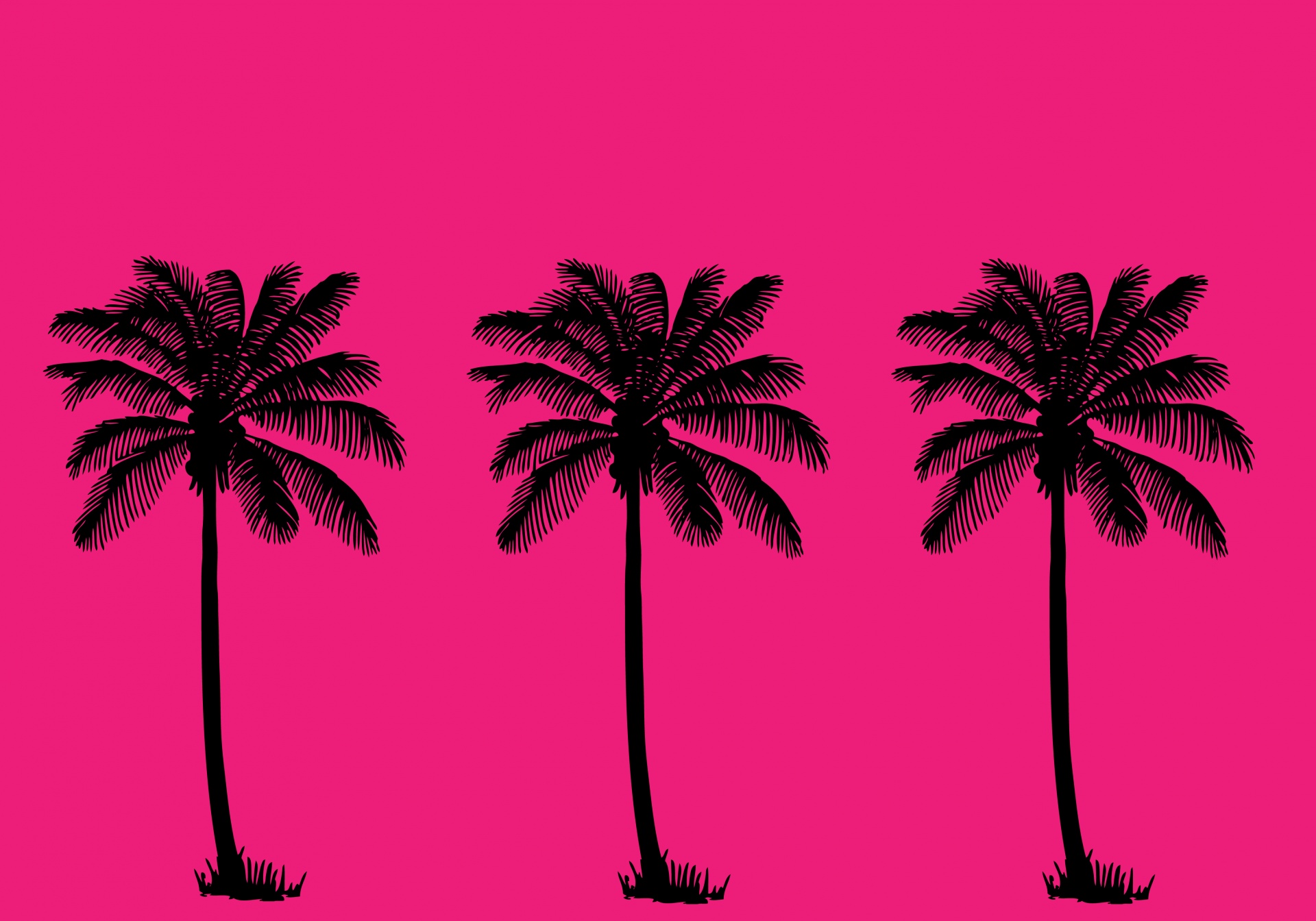 Palm tree Palm trees Tree Free Photo - Velker & Maria Estrella Second Chance - HD Wallpaper 