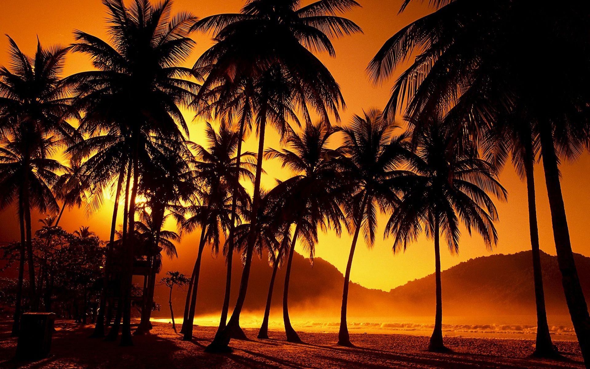 Sunset Wall Mural From Scarfacesunset Palm Trees Wallpaper - I M Sorry Forgive Me Thank You I Love You - HD Wallpaper 