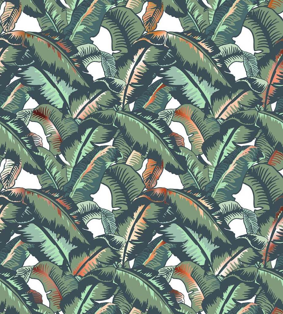 Absolut Elyx Banana Leaf - HD Wallpaper 