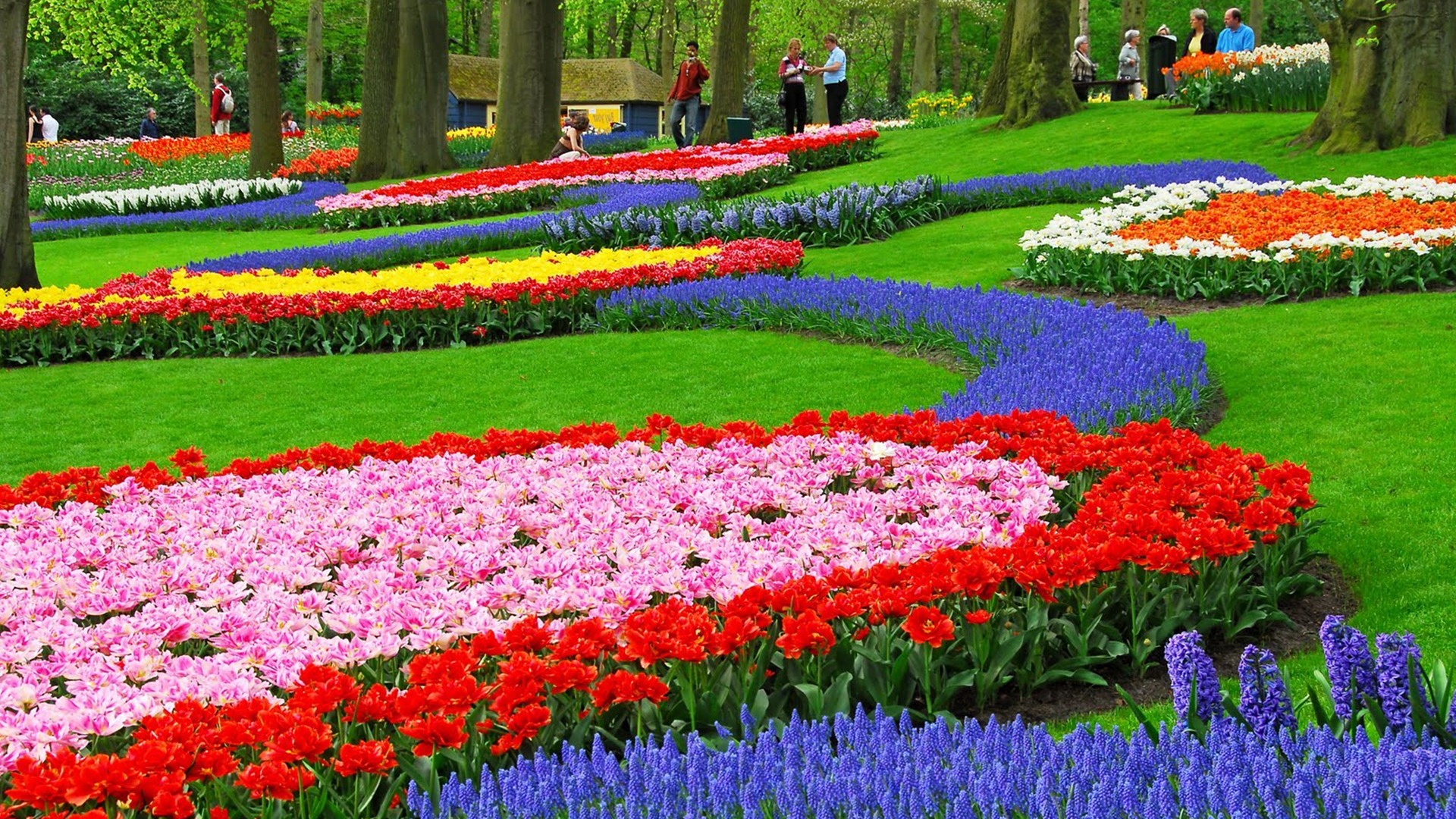 Pc Flower Garden Wallpapers, Sherwood Sanderlin, P - HD Wallpaper 