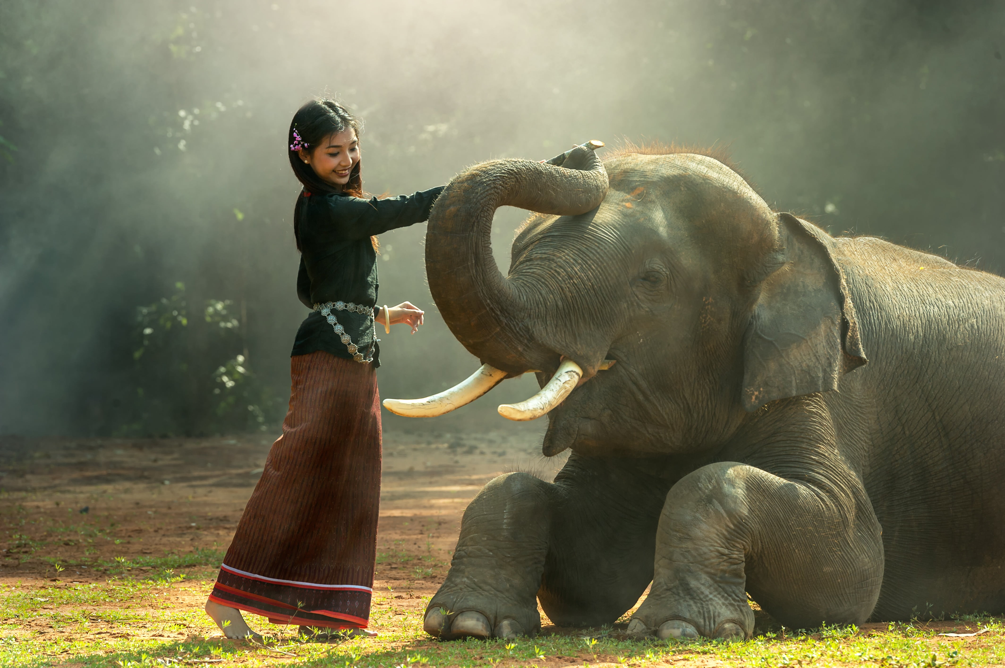 Beautiful Girl With Elephant - HD Wallpaper 