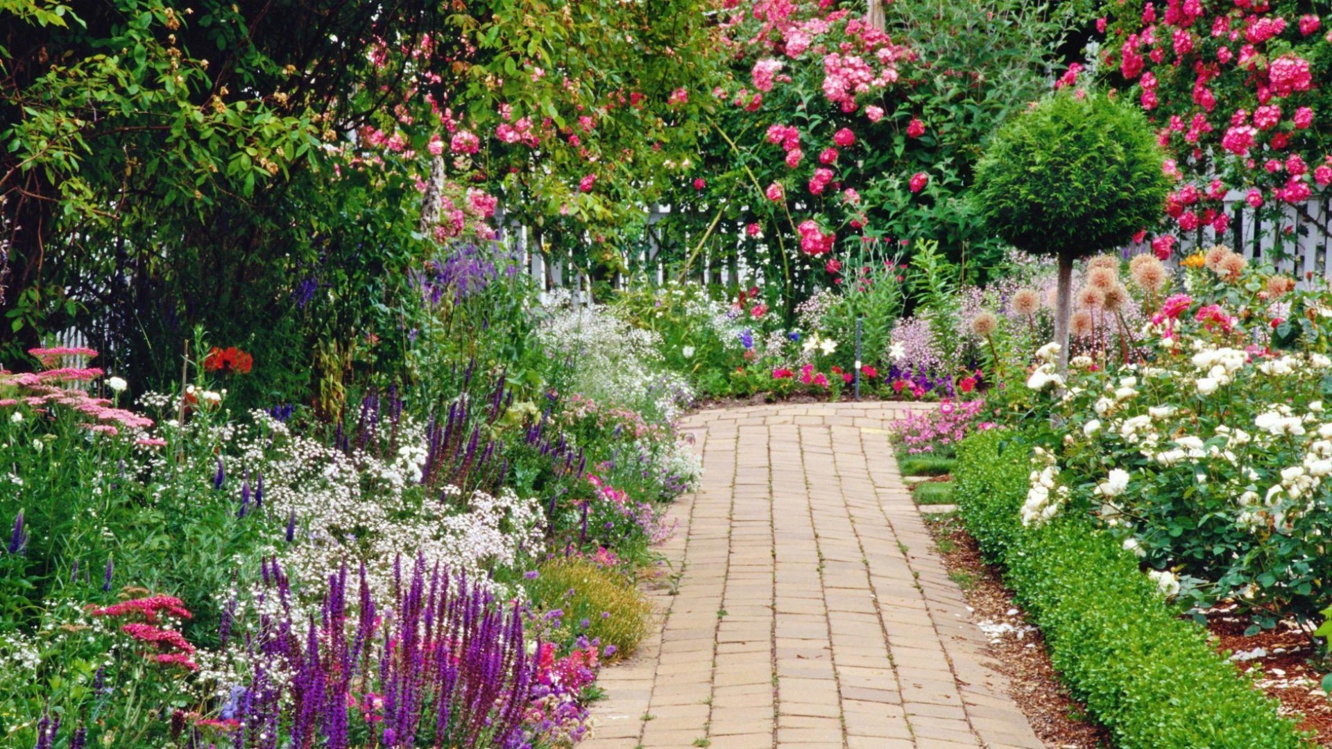1920x1080, Garden Wallpapers - High Definition Garden Background - HD Wallpaper 