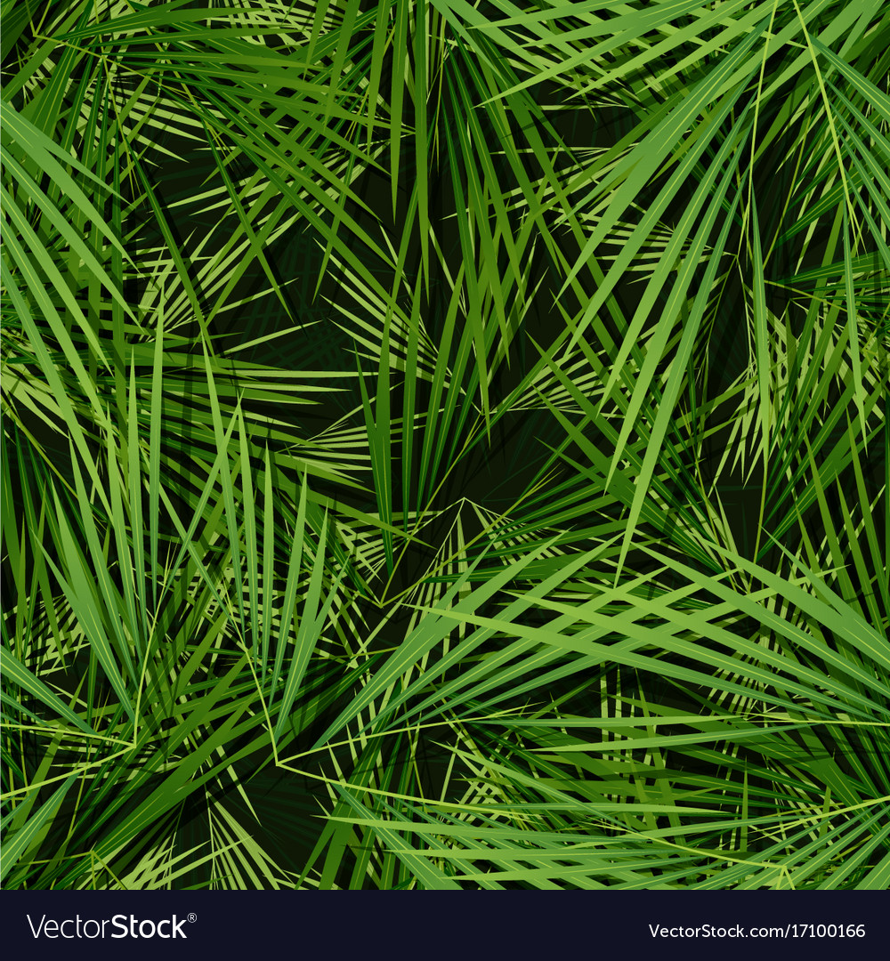 Leaves Palm Wallpaper Hd - HD Wallpaper 
