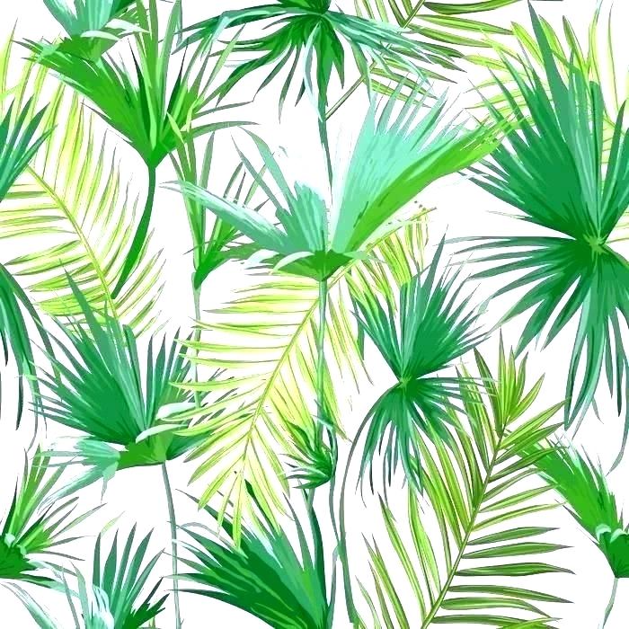 Palm Leaf Splashback - HD Wallpaper 