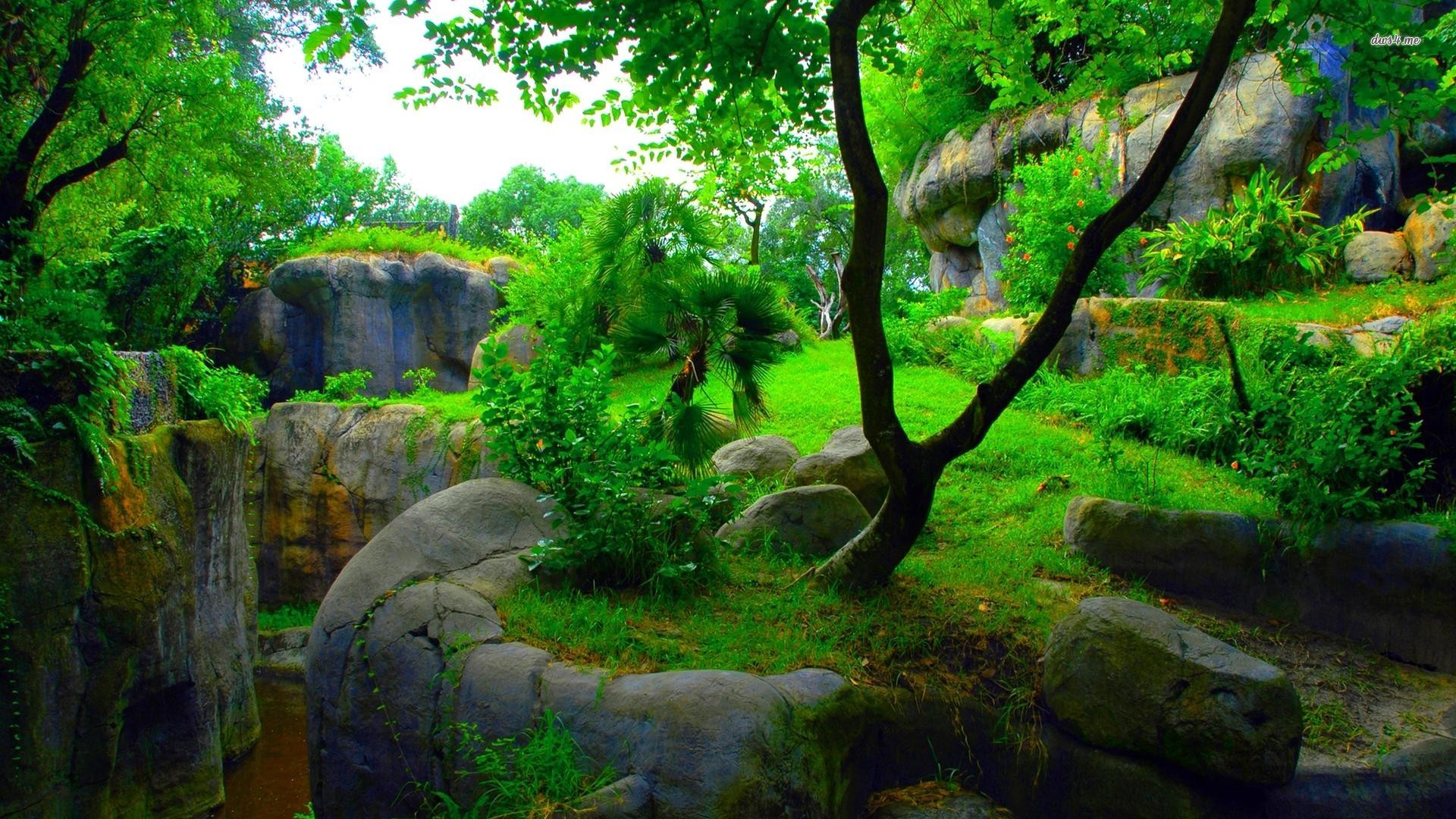 Wallpaper - HD Wallpaper 
