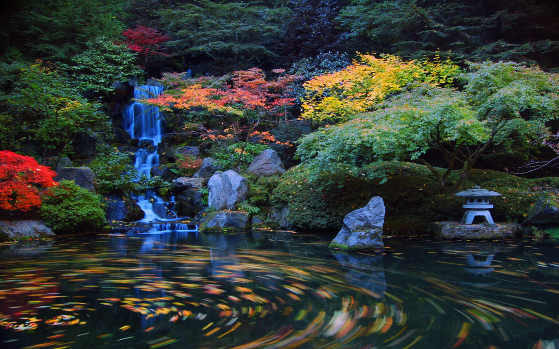 Japanese Garden Wallpapers, Backgrounds, Desktop Wallpapers, - Washington Park, Japanese Garden - HD Wallpaper 