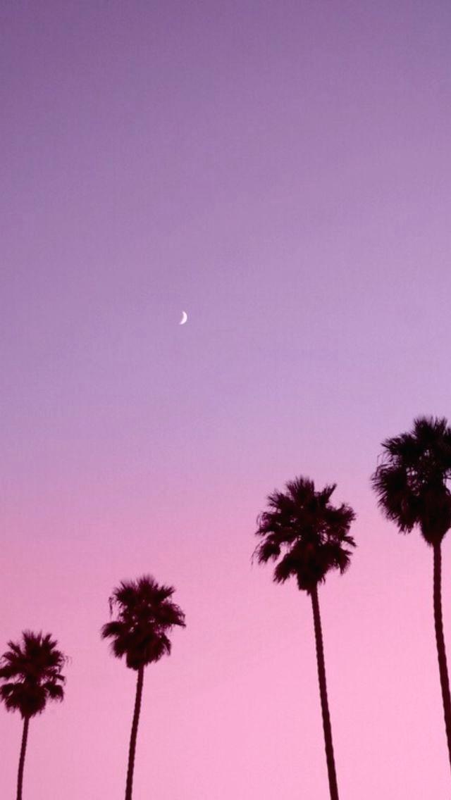 Pink Palm Trees Wallpaper Palms Sunset Wallpaper Sunset - Background Tumblr Portrait - HD Wallpaper 