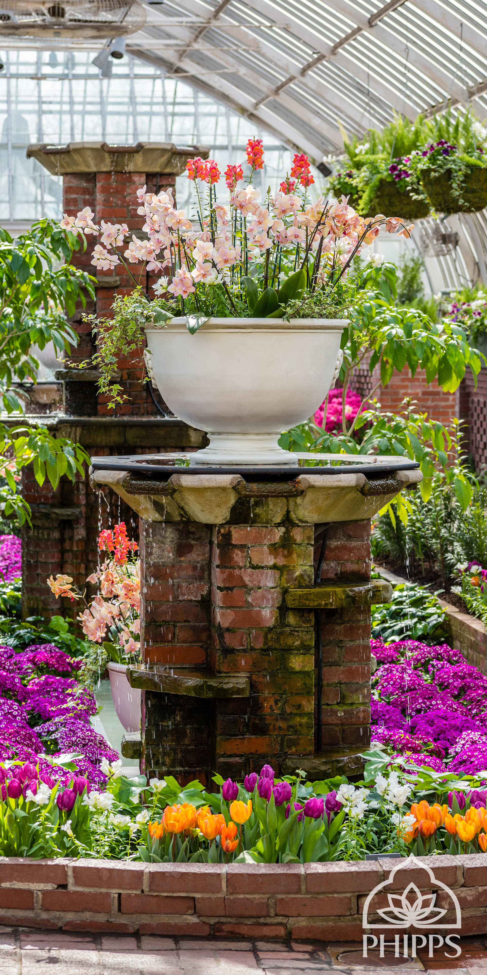 Phones Gardening - HD Wallpaper 