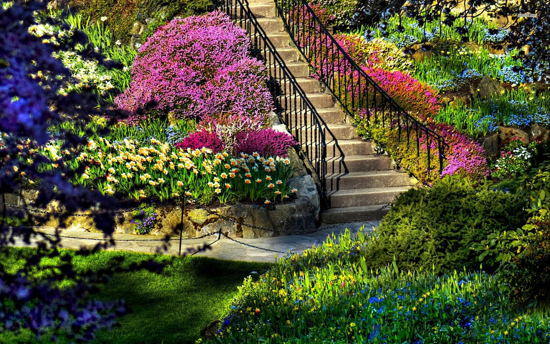 صور حدائق - HD Wallpaper 