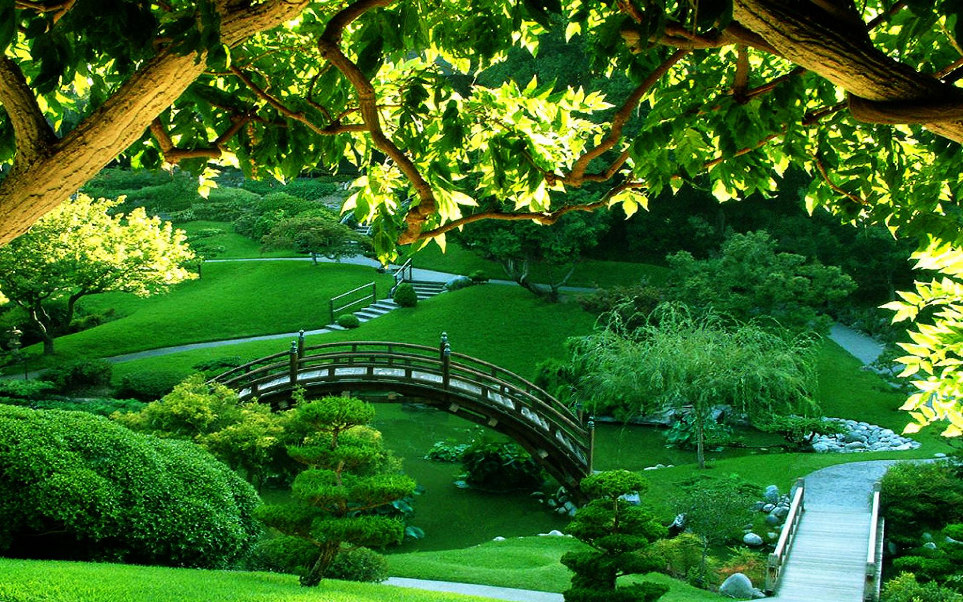 Beautiful Walpaper - HD Wallpaper 