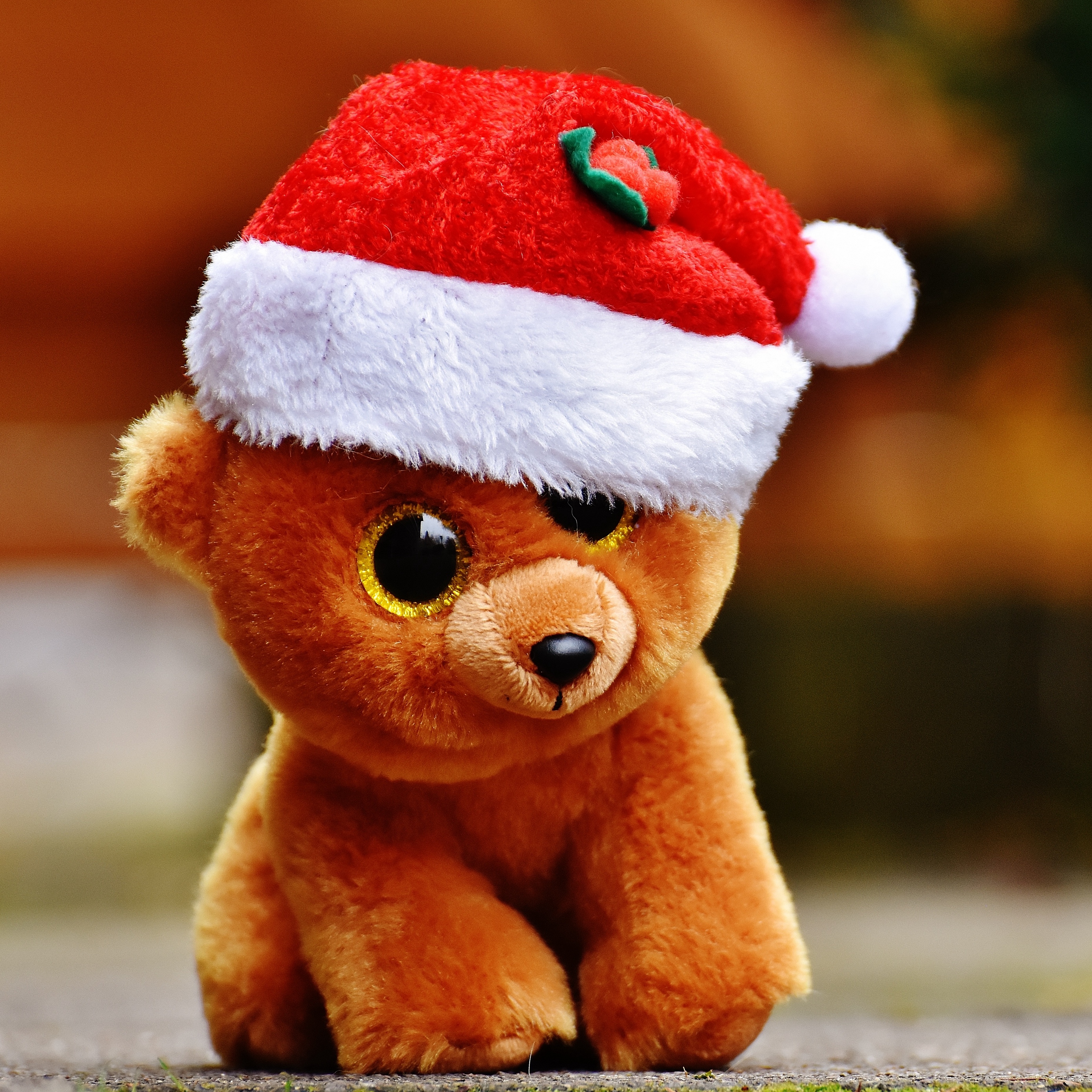 Wallpaper Toy Teddy Bear Christmas Cute Teddy Bear Wallpaper Hd 2780x2780 Wallpaper Teahub Io