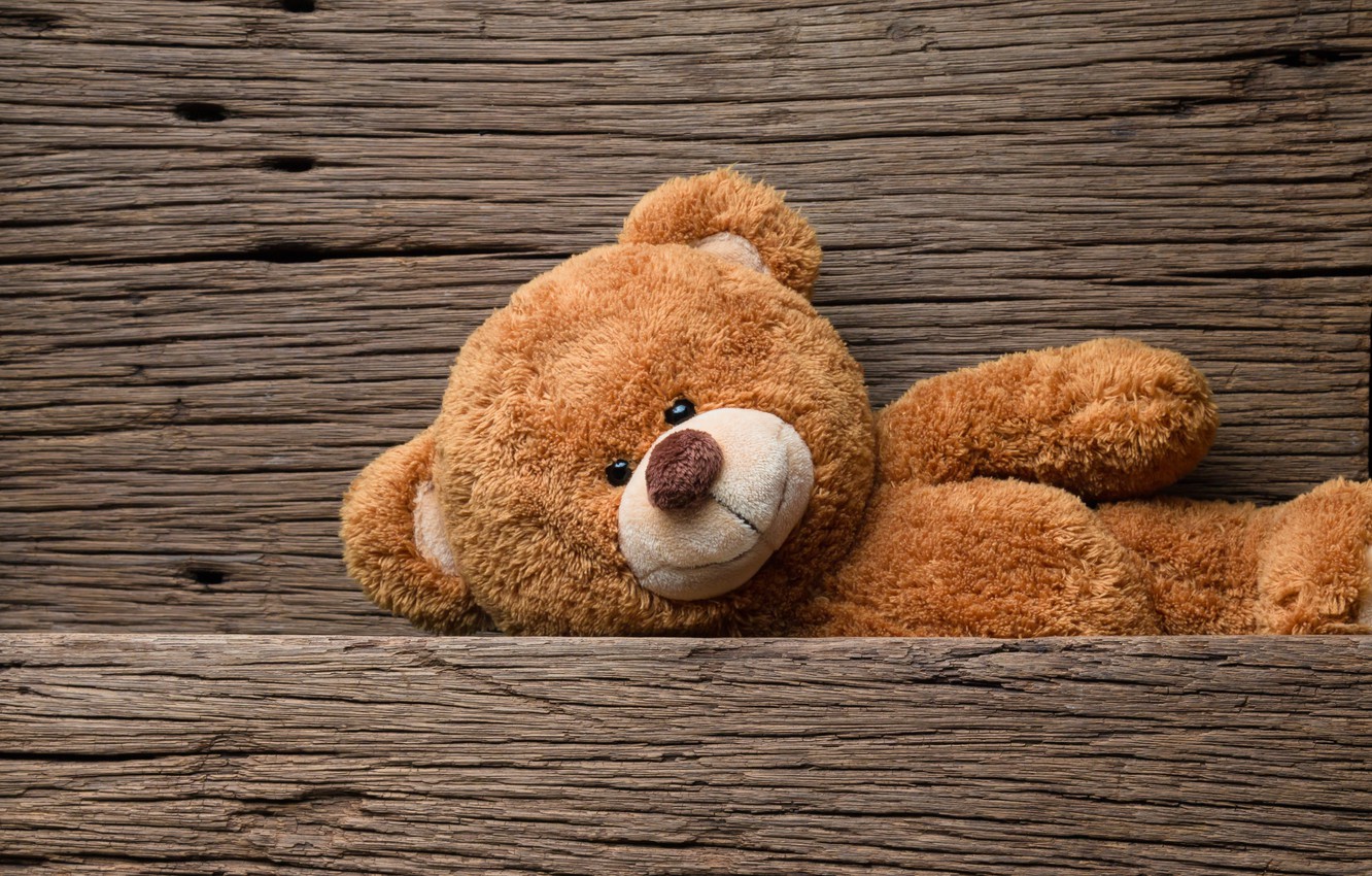 Photo Wallpaper Toy, Bear, Bear, Wood, Teddy Bear, - Cute Brown Teddy Bear - HD Wallpaper 