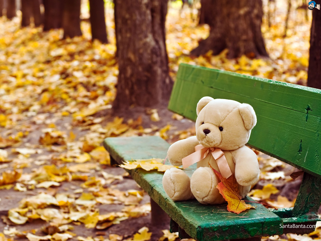 Teddy Bears - Cute Romantic Teddy Bear - HD Wallpaper 