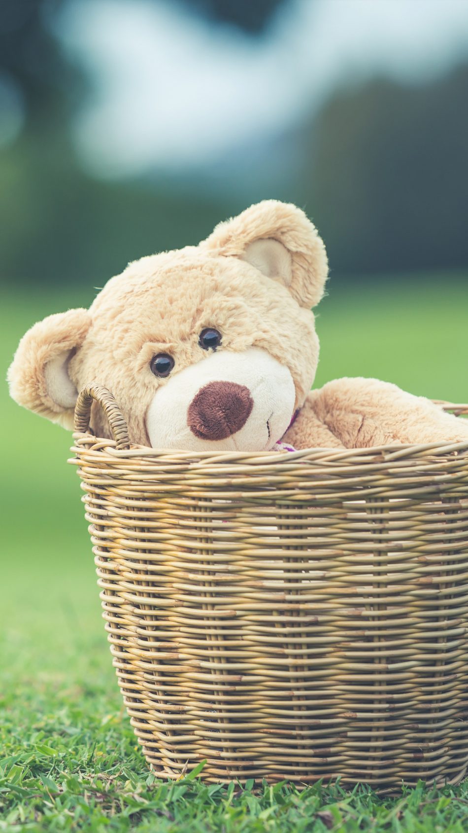 Teddy Bear Basket Playground 4k Ultra Hd Mobile Wallpaper - Hd Wallpaper Teddy Bear - HD Wallpaper 