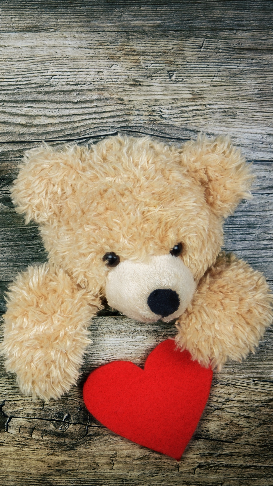 Wallpaper Teddy Bear, Heart, Valentines Day, Love - Teddy Bear Wallpaper For Phone - HD Wallpaper 