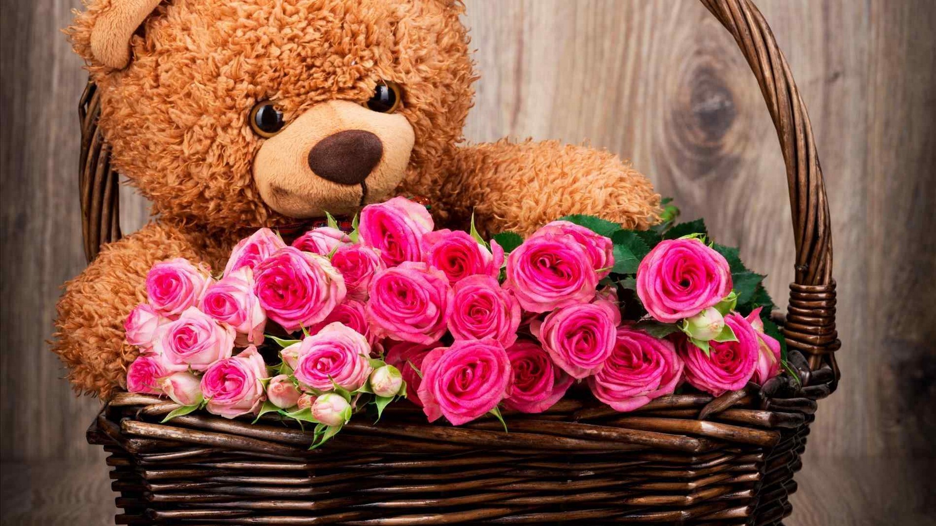 Big Teddy Bear Desktop Wallpaper With Image Resolution - Teddy Bear With Rose - HD Wallpaper 