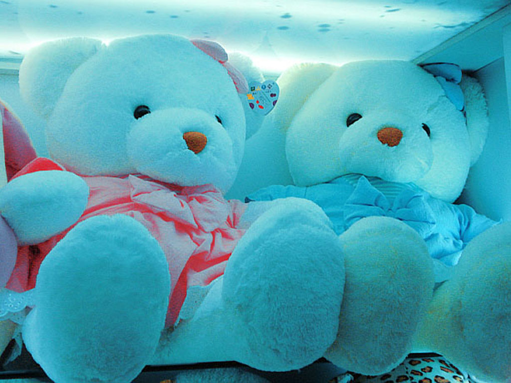 Beautiful Teddy Bear Pics Download - HD Wallpaper 