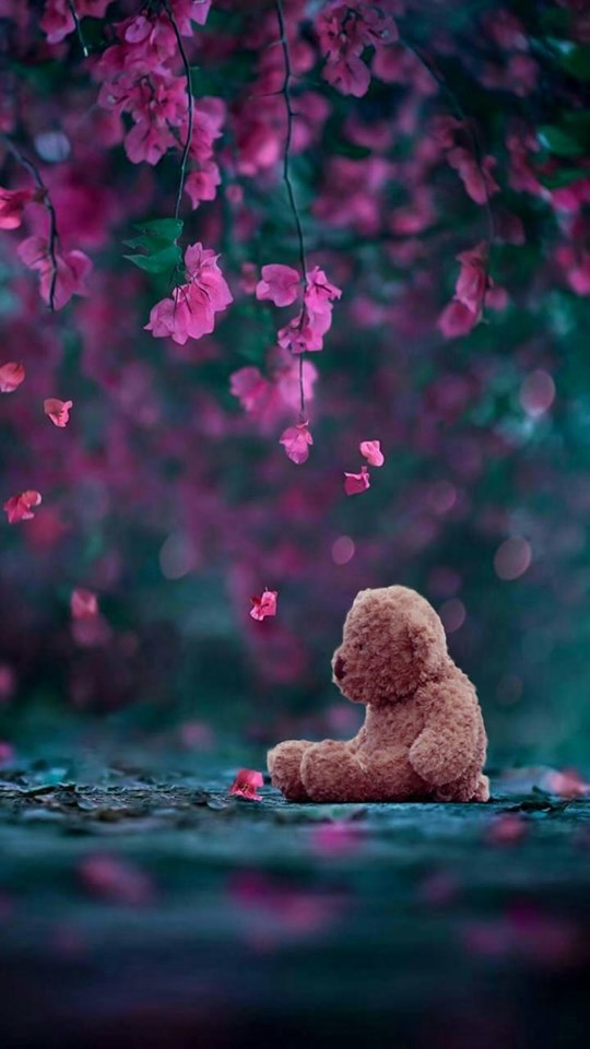 Iphone Teddy Bear Wallpaper Hd - HD Wallpaper 