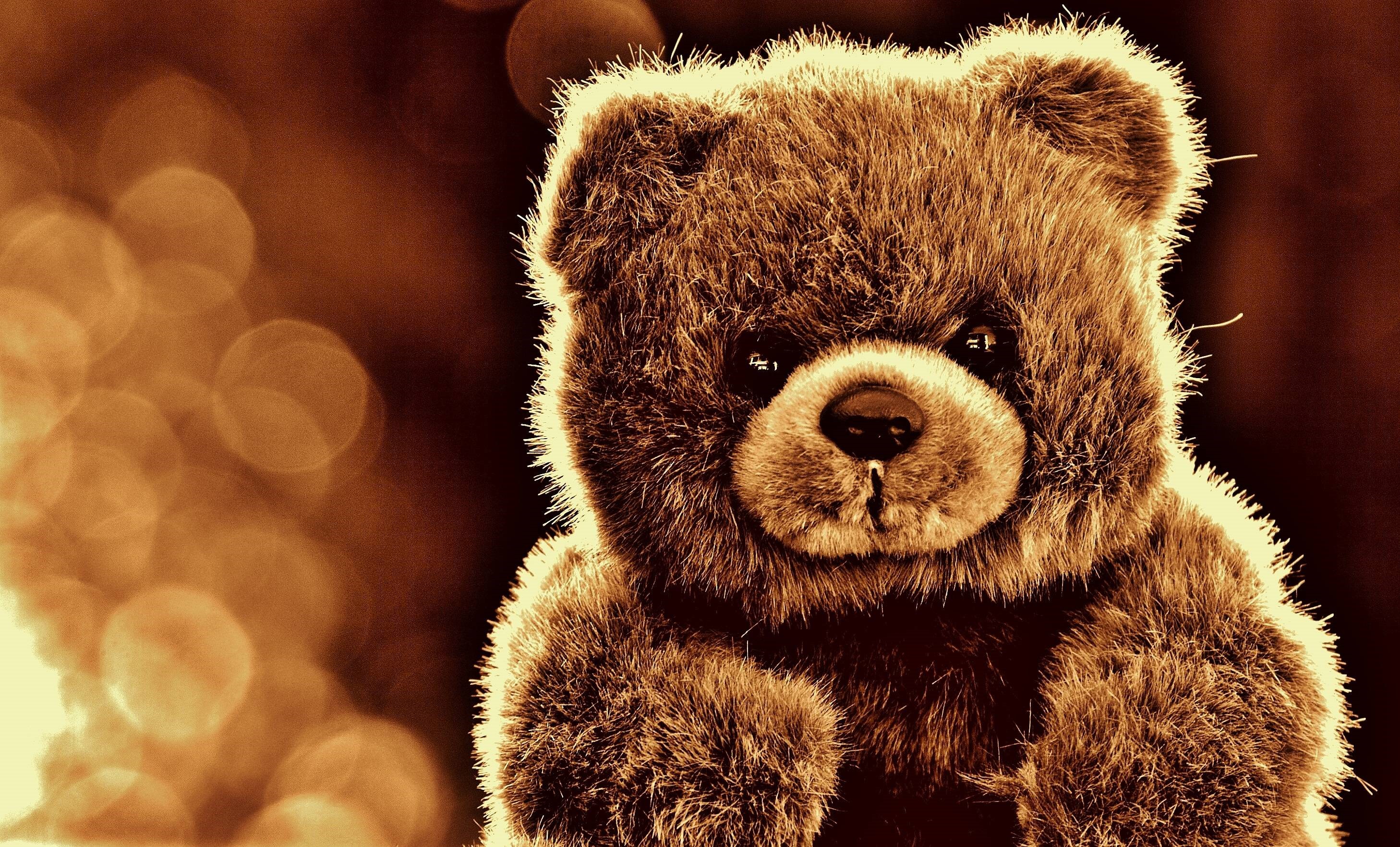Teddy Bear Hd Wallpaper For Laptop - HD Wallpaper 