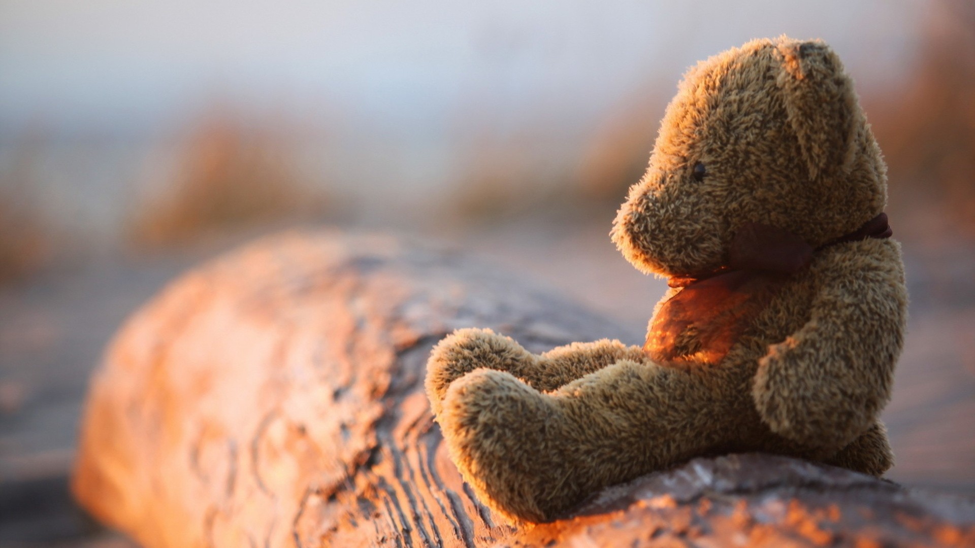 Teddy Bear Wallpaper Windows Themes - Sad Teddy Bear Dp - HD Wallpaper 