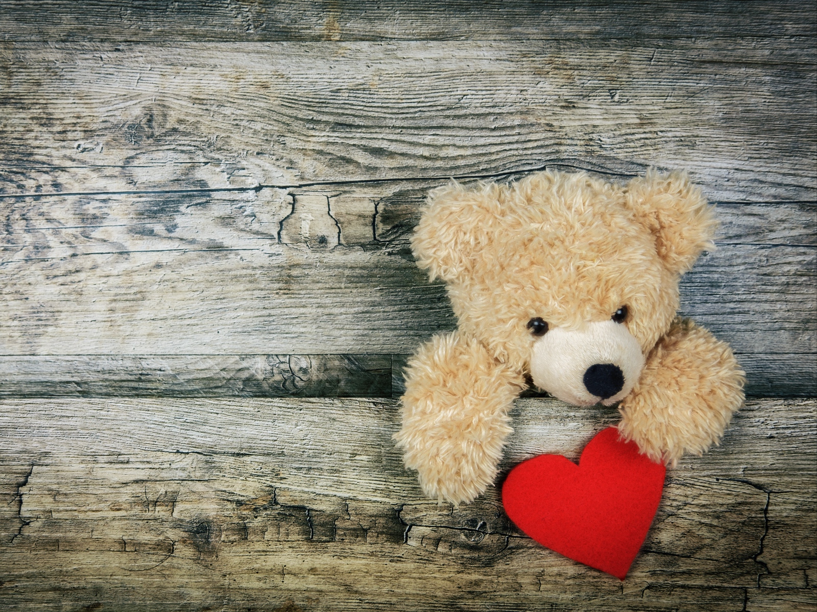 Wallpaper Teddy Bear, Heart, Valentines Day, Love - Laptop Wallpaper Teddy Bear - HD Wallpaper 