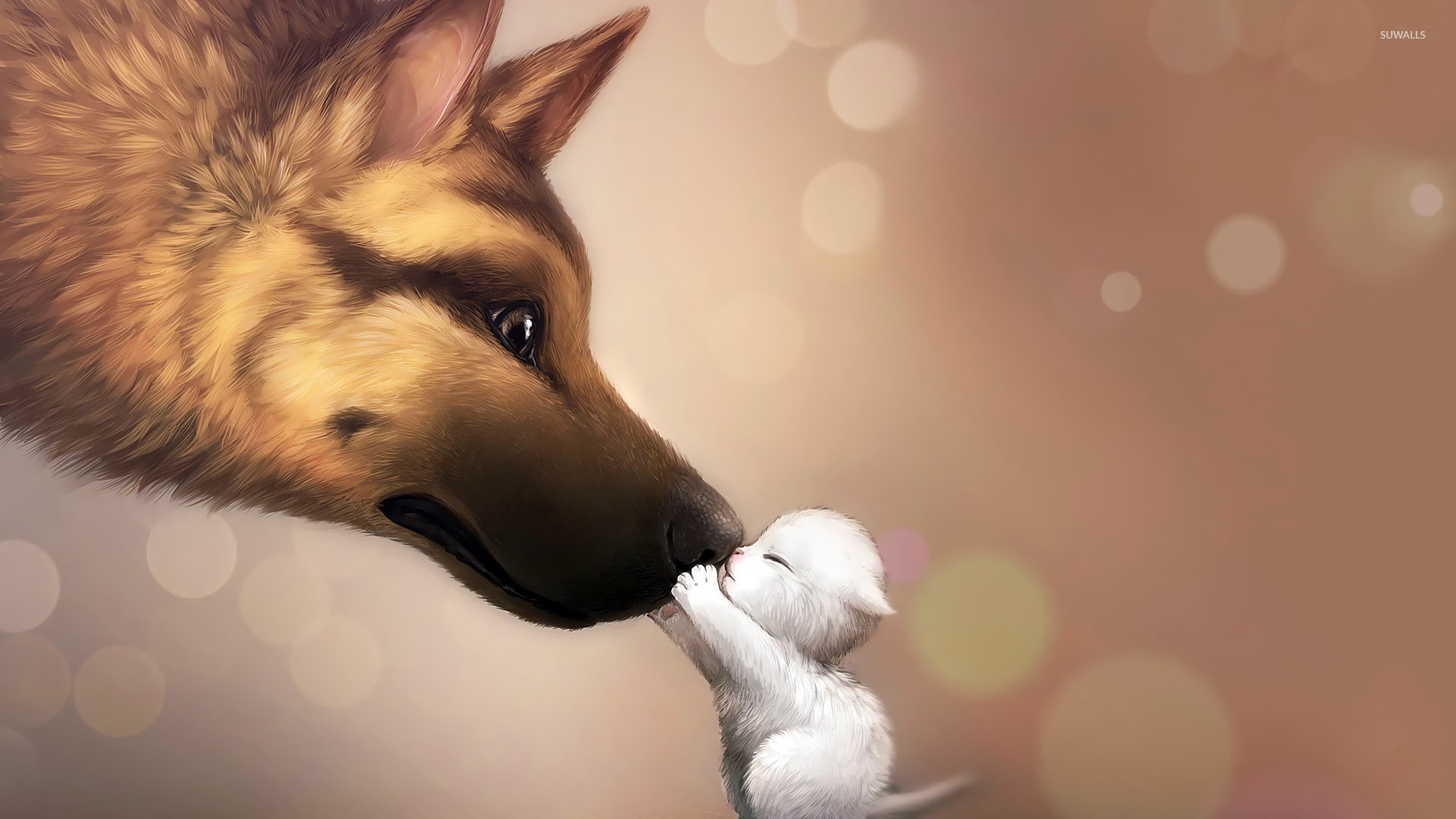 Puppy Wallpaper - HD Wallpaper 